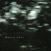 Purchase Whale Fall - Whale Fall