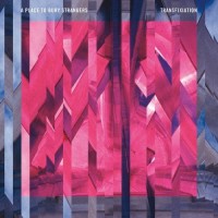 Purchase A Place to Bury Strangers - Transfixiation