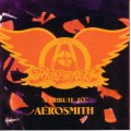 Buy VA - Right In The Nuts: Tribute To Aerosmith CD1 Mp3 Download