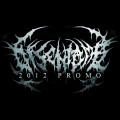 Buy Disentomb - Promo (Demo) Mp3 Download