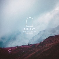 Purchase Sir Sly - You Haunt Me (Remixes)