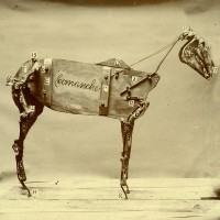 Purchase Chadwick Stokes - The Horse Comanche