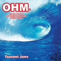 Purchase Ohm: - Tsunami Jams