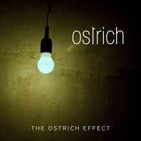 Purchase Ostrich - The Ostrich Effect