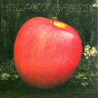 Purchase Little Wings - Black Grass