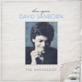 Buy David Sanborn - Then Again: The Anthology CD2 Mp3 Download