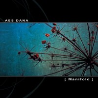 Purchase Aes Dana - Manifold