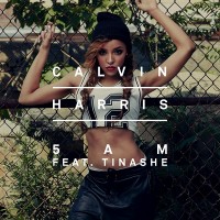 Purchase Calvin Harris - 5 Am (CDS)