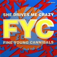 Purchase Fine Young Cannibals - She Drives Me Crazy (MCD)