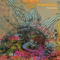 Purchase The Kandinsky Effect - Synesthesia