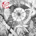 Buy Thee Oh Sees - Dog Poison Mp3 Download