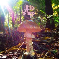 Purchase Little Wings - Last