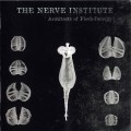 Buy The Nerve Institute - Architects Of Flesh-Density Mp3 Download