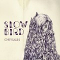 Buy Slow Bird - Chrysalis Mp3 Download