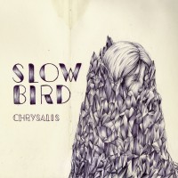 Purchase Slow Bird - Chrysalis