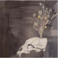 Purchase Steve Gunn & The Black Twig Pickers - Seasonal Hire (EP)