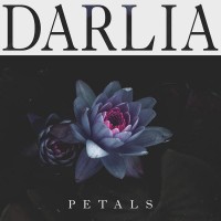 Purchase Darlia - Petals