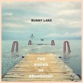 Buy Bunny Lake - The Sound Of Sehnsucht Mp3 Download