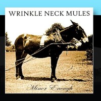 Purchase Wrinkle Neck Mules - Minor Enough