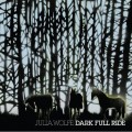 Buy Julia Wolfe - Dark Full Ride: Music In Multiples Mp3 Download