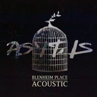 Purchase As It Is - Blenheim Place Acoustic