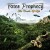 Buy Fates Prophecy - The Cradle Of Life Mp3 Download