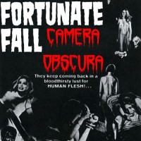 Purchase Fortunate Fall - Camera Obscura