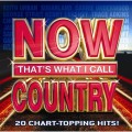 Buy VA - Now That's What I Call Country Mp3 Download