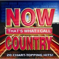 Purchase VA - Now That's What I Call Country