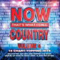 Buy VA - Now That's What I Call Country Vol. 4 Mp3 Download