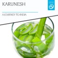 Buy Karunesh - A Journey To India Mp3 Download