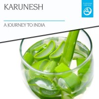 Purchase Karunesh - A Journey To India
