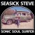 Buy Seasick Steve - Sonic Soul Surfer Mp3 Download