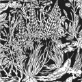 Buy Eternal Tapestry - Wild Strawberries Mp3 Download