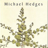 Purchase Michael Hedges - Taproot