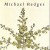 Buy Michael Hedges - Taproot Mp3 Download