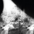 Buy Godspeed you! Black Emperor - Asunder, Sweet And Other Distress Mp3 Download