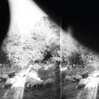 Purchase Godspeed you! Black Emperor - Asunder, Sweet And Other Distress