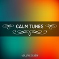 Buy VA - Calm Tunes Vol. 7 Mp3 Download