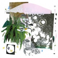 Purchase Weed Hounds - Weed Hounds