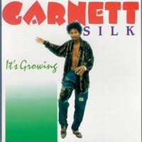 Purchase Garnett Silk - It's Growing