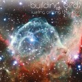Buy Building Birds - Swirling Among The Stars Mp3 Download