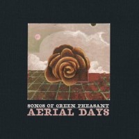 Purchase Songs Of Green Pheasant - Aerial Days