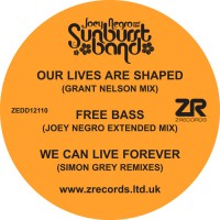 Purchase Joey Negro & The Sunburst Band - Our Lives Are Shaped (VLS)
