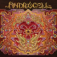 Purchase Androcell - Imbue