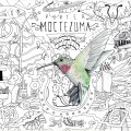 Buy Porter - Moctezuma Mp3 Download