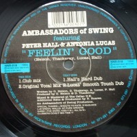 Purchase Ambassadors Of Swing - Feeling Good (MCD)