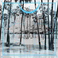 Purchase Four Tet - Jupiters / Lion (Remixes) (EP)