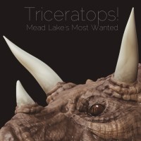 Purchase Mead Lake's Most Wanted - Triceratops!
