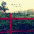 Buy The White Birch - The Weight Of Spring Mp3 Download